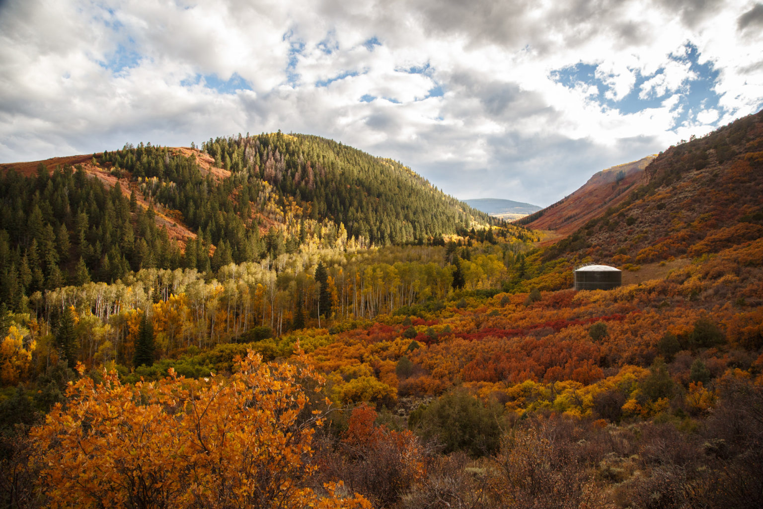 Real Estate Frost Creek